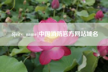 湛江中国消防官方网站域名