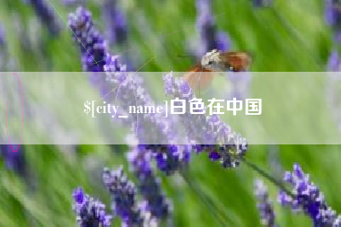 湛江白色在中国
