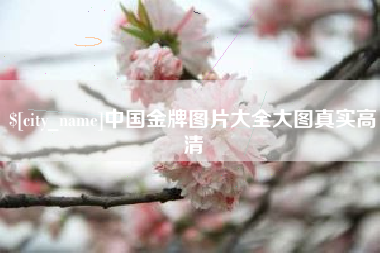 湛江中国金牌图片大全大图真实高清