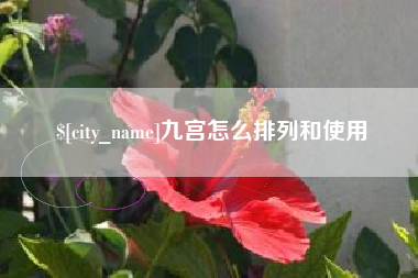 湛江九宫怎么排列和使用