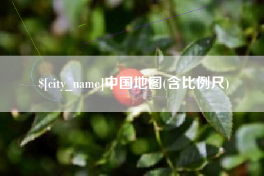 湛江中国地图(含比例尺)