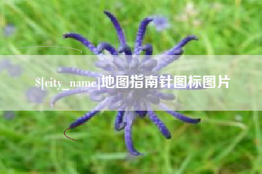 湛江地图指南针图标图片