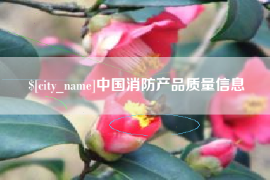湛江中国消防产品质量信息