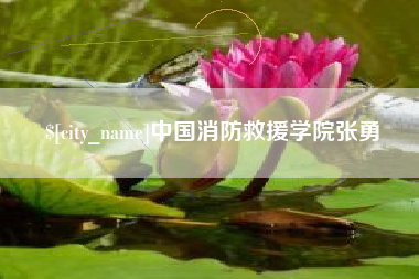 湛江中国消防救援学院张勇
