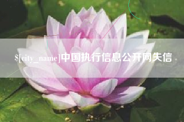 湛江中国执行信息公开网失信