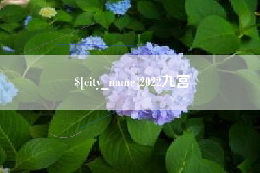 湛江2022九宫