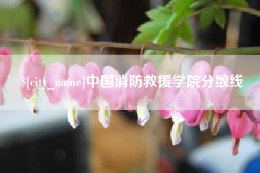 湛江中国消防救援学院分数线