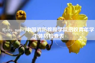 湛江中国消防救援学院招收青年学生体格检查表