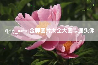 湛江金牌图片大全大图卡通头像