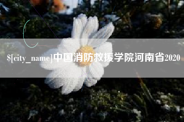 湛江中国消防救援学院河南省2020