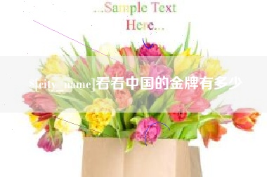 湛江看看中国的金牌有多少